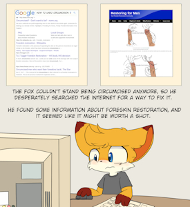 3612732_katsureitan_003-research.png