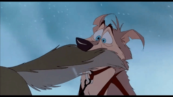 3614965_DangerDoberman_dattailgotmelike.gif