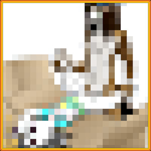 3616202_Neversoft_dog_residue_3.wet_shirt_miscellaneous_yacteru_.png