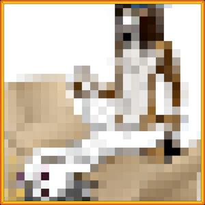 3616203_Neversoft_dog_residue_4.wet_boobs_miscellaneous_yacteru_.png