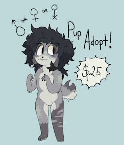 pupper adopt