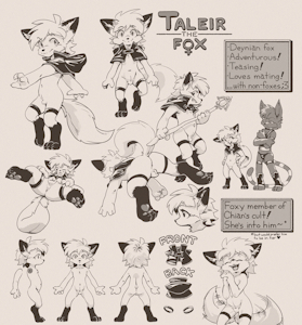 Taleir The Fox!