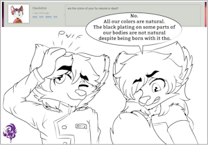 Ask the twins N°2