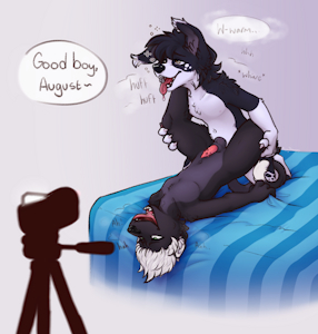 3634096_PuppyDreams_2.png