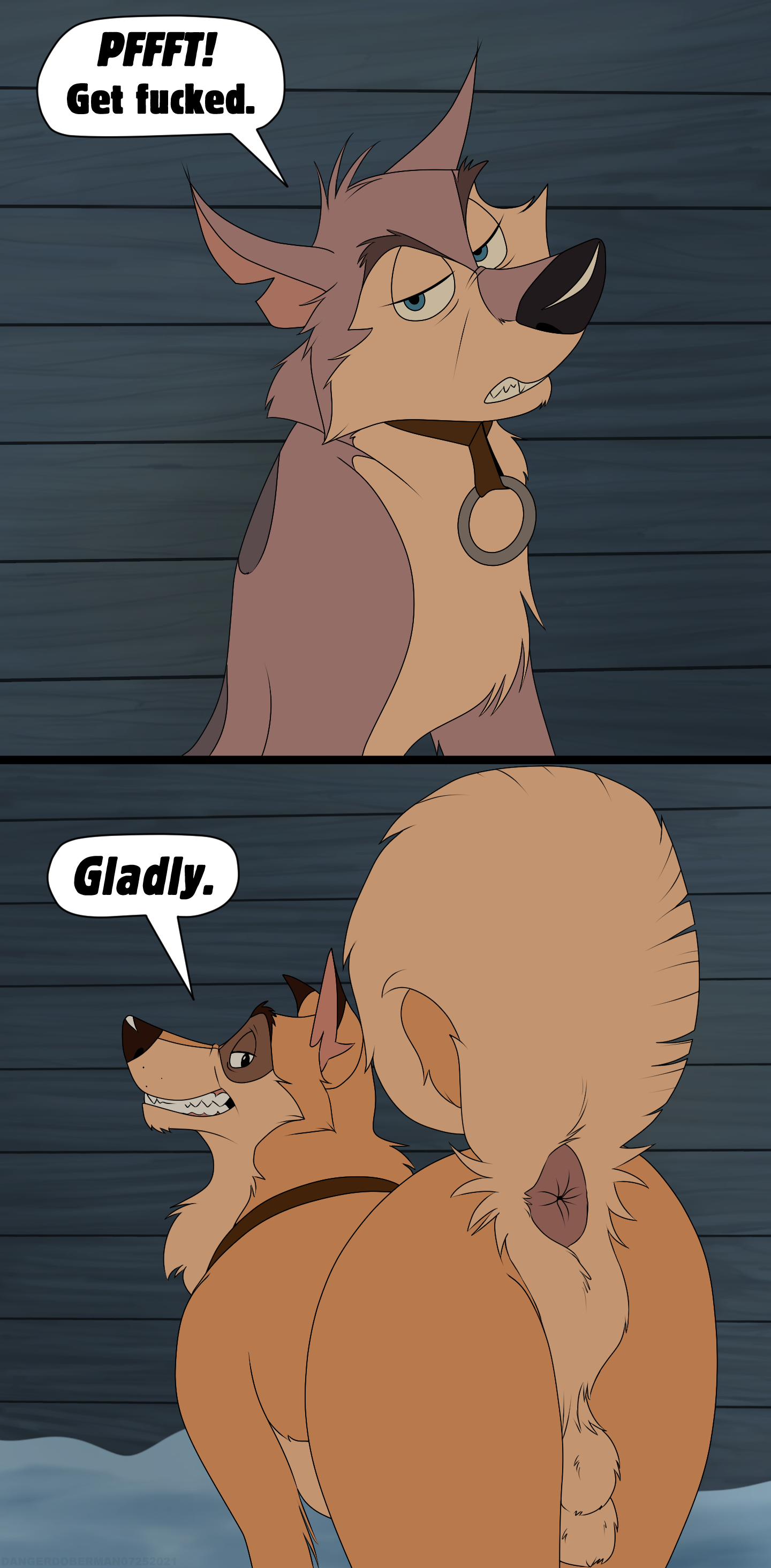 3671219_DangerDoberman_kaltagsstarp2_f8ab.png