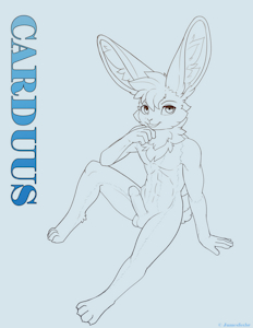 Carduus NSFW