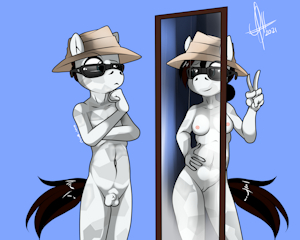 distortionin mirror