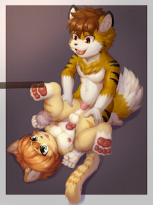 how to hump a cat
