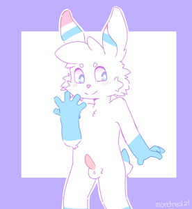 comfytail