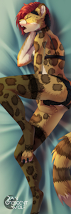 Nikki Dakimakura sfw