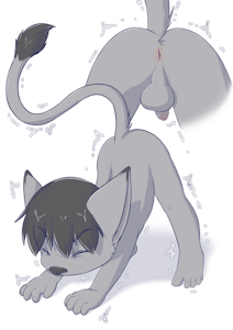 Kitty cat stretching