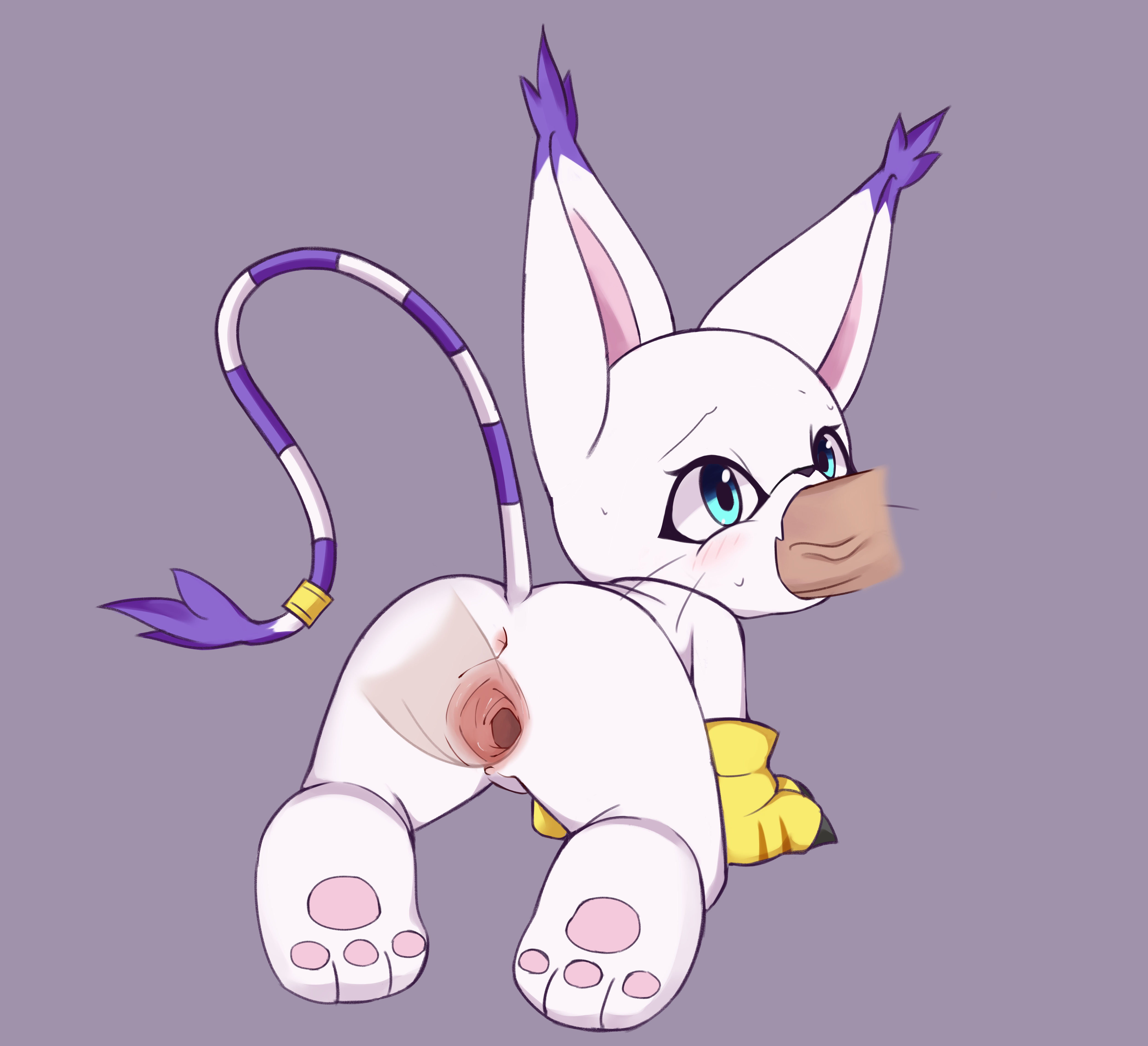 3655727_Flong_3.png