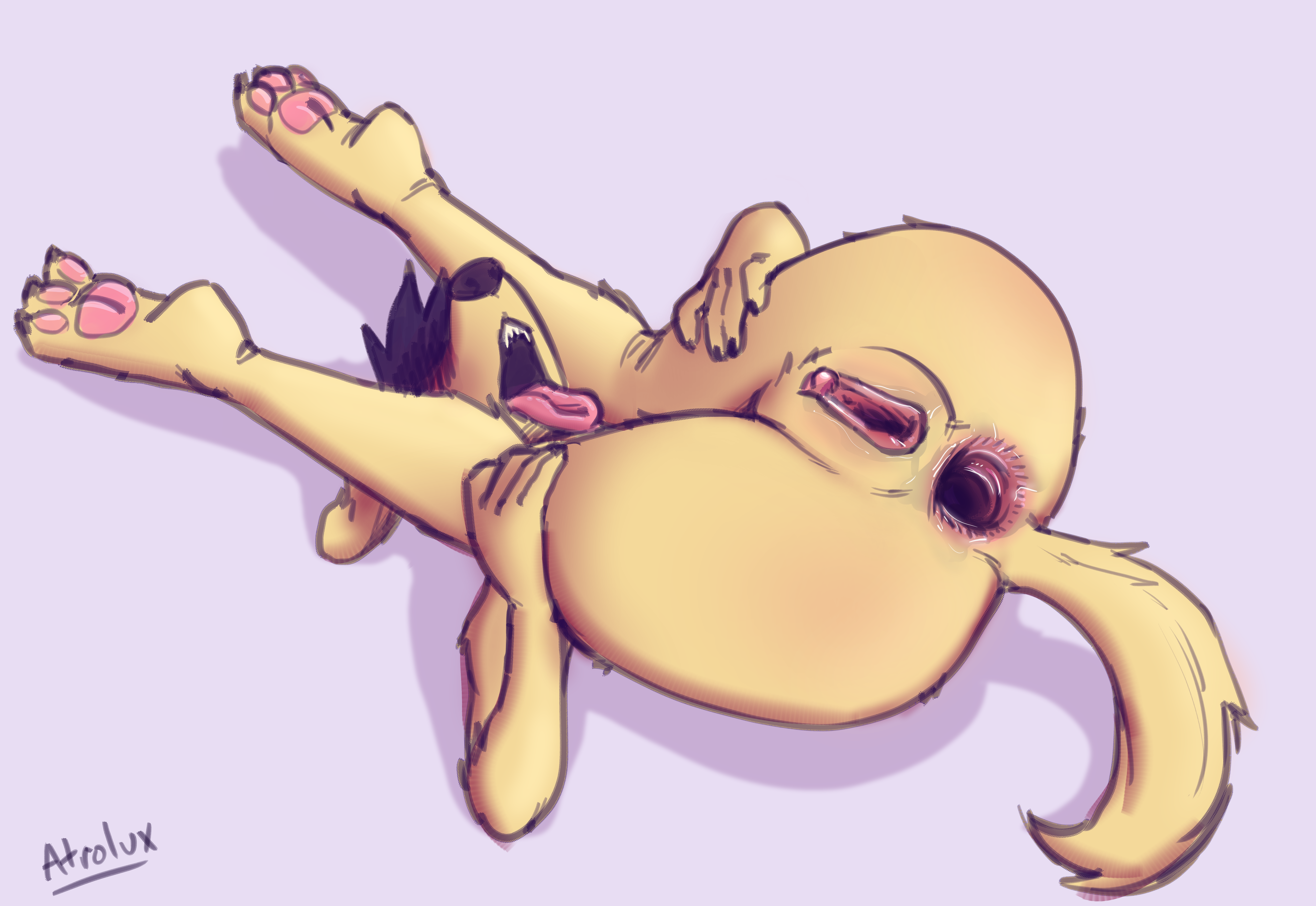 3656116_Atrolux_on_back_b_no_c.png