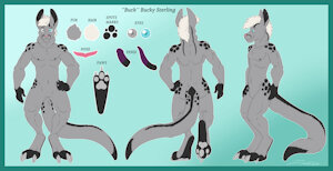 Buck model sheet