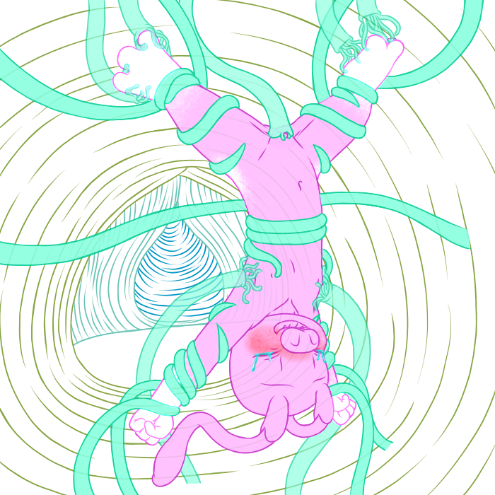 3666566_YacteruC1_1605209533101.png