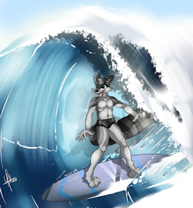 surfin' raccoon