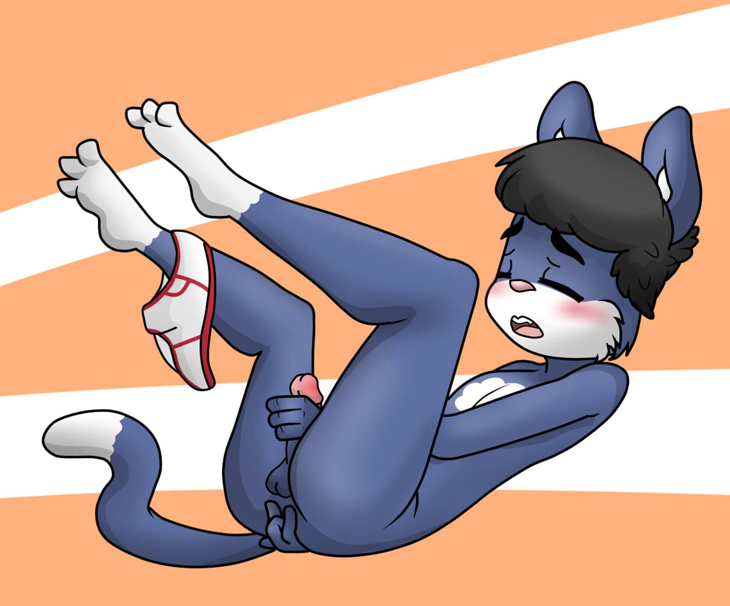3760259_CloudHusky_afterschool_activities_abstract.jpg