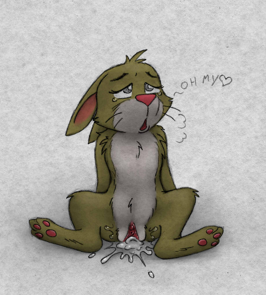 3681801_Animew_rabit_rape.jpg