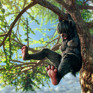 Bearly holding on