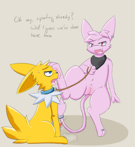 More dog training