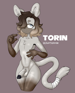 Torin Sticker 3