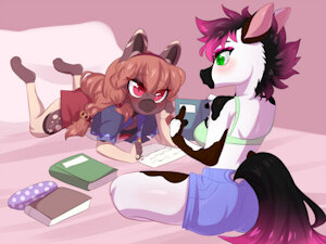 Comm:ShaneAndCo