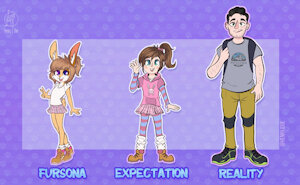 Expectation vs. Reality