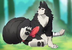 BIG DOG