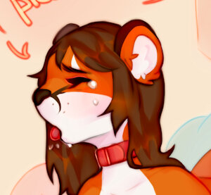 3704649_chloeelaw_img_260132.png
