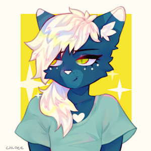 icon commission