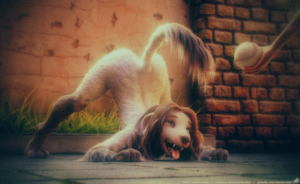 3717046_tchaikovsky2_dogmode_lomo.png