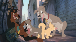 Buster/Tramp/Angel/Scamp