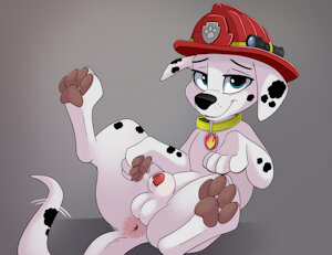 3724998_SmittyG_b_marshall_1.jpg
