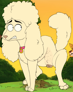 Honey! Coyote!