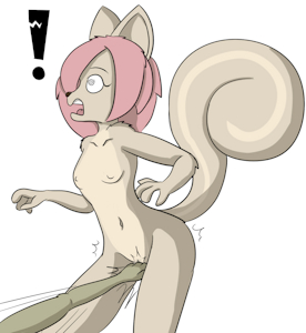 Squirrels in color