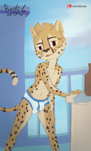 3750222_Rodicle_patreon_kota_hard.png