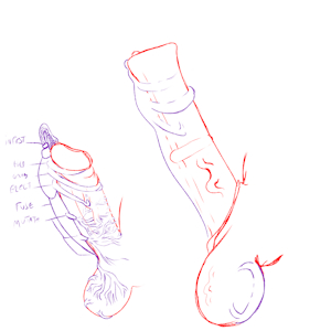 Unamed parasite