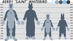 Updated Berry 'Saint' whitebird