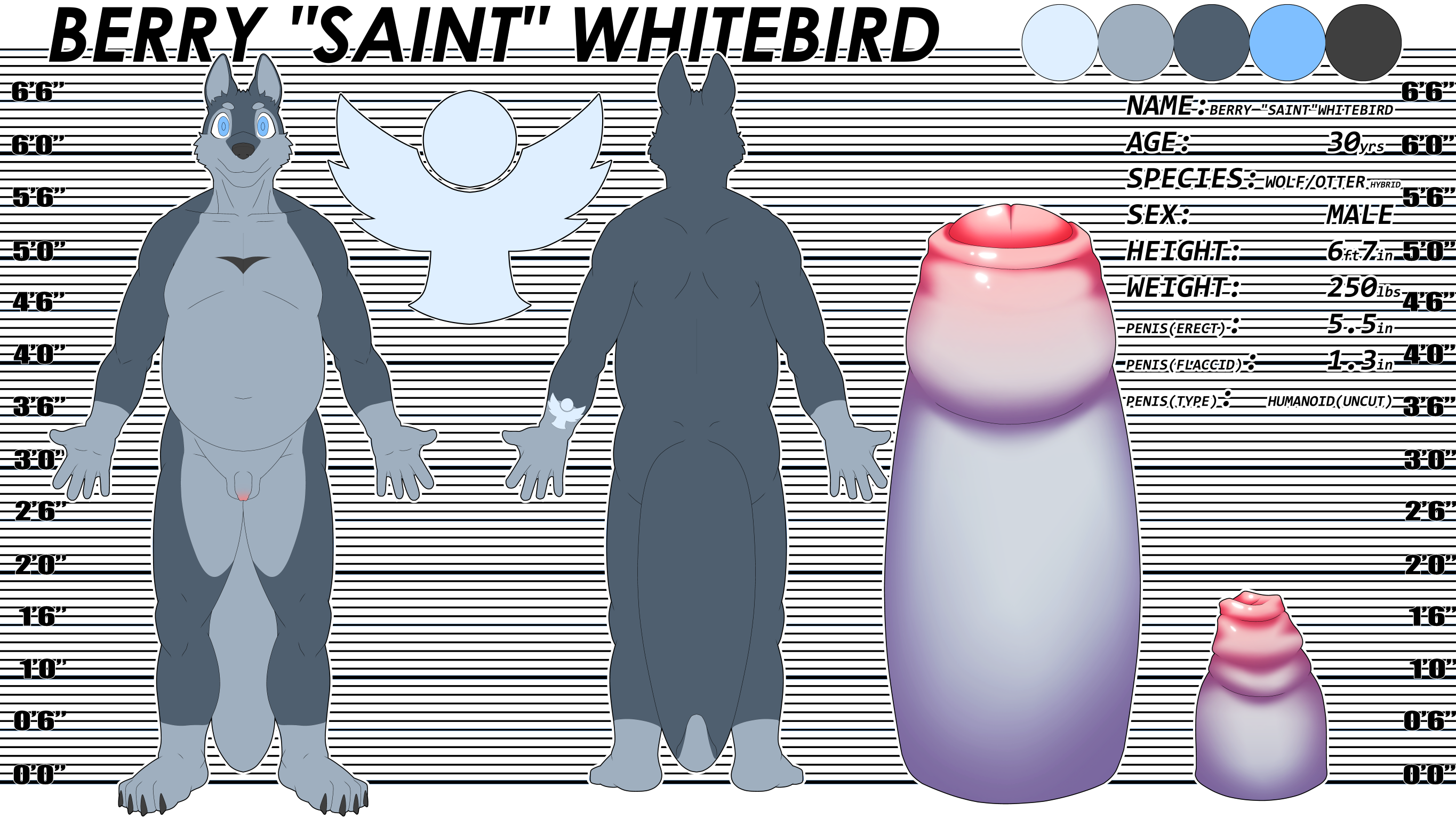 3763655_saintkoopa_blueberry_whitebird_lr.png