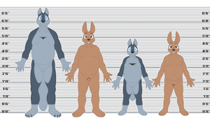 Boyfriend height chart.