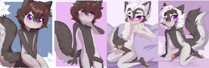 Timline of a wolf