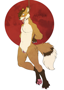 Fox hanging
