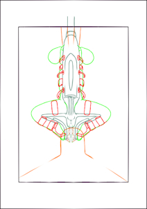 3852265_YacteruC1_export1640017054350.png