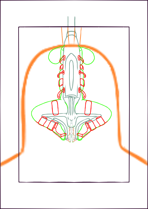 3852266_YacteruC1_export1640017070974.png