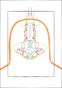 3852266_YacteruC1_export1640017070974.png