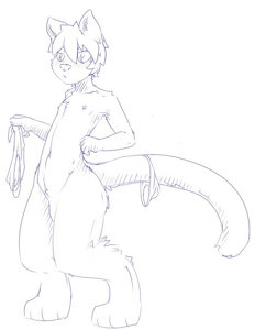 wrong size / hips too wide?