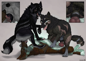 Wolfess Service