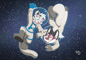 Space Travel