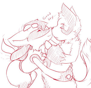Lucario and Zangoose