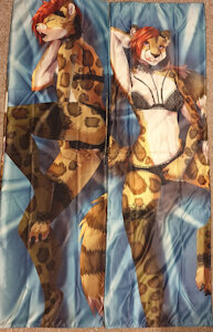 Nikki Dakimakura